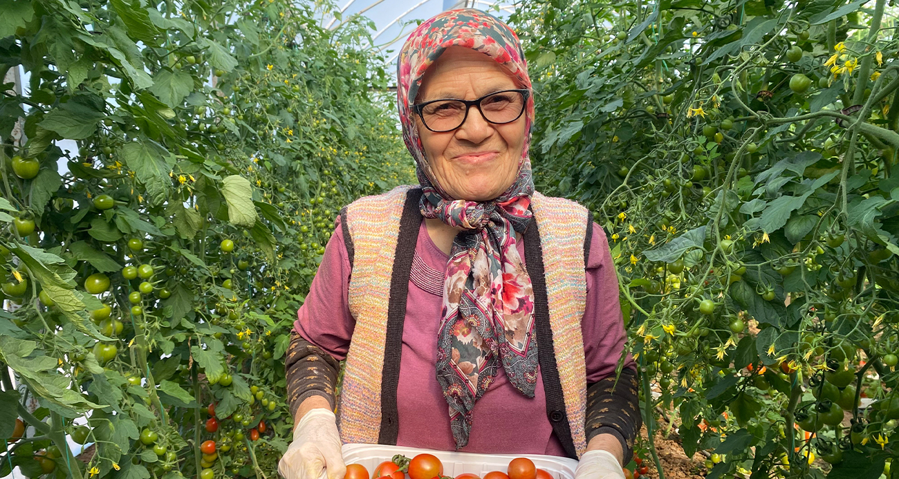 75 Yaşında Sera İşlerinde Çalışan Sevim Palas’ın Hayat Mücadelesi
