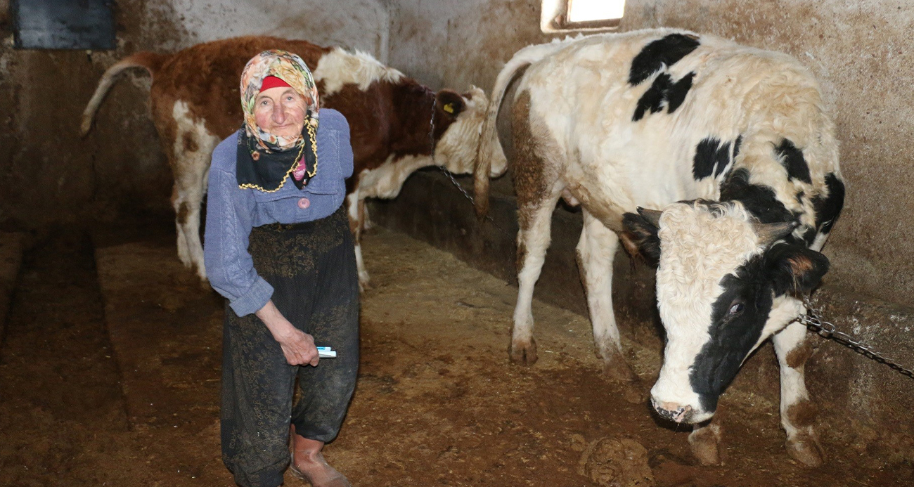 Erzincan’da 79 Yaşındaki Dilber Nine’nin Hayat Mücadelesi Herkesi Hayran Bırakıyor