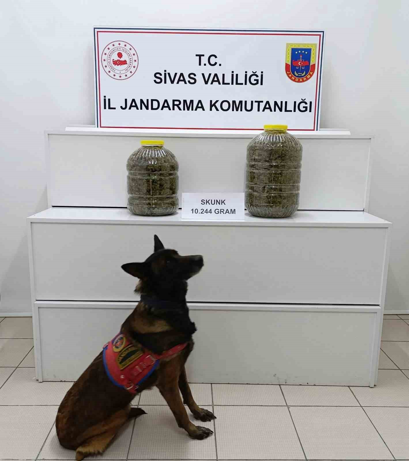 Sivas Gürün’de Yolcu Otobüsünde Büyük Uyuşturucu Operasyonu