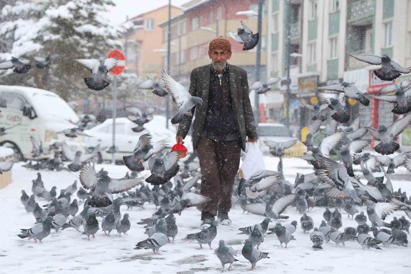 Sivas’ta Bir Adamın Rüya Gördükten Sonra Başladığı 20 Yıllık Kuş Besleme Serüveni