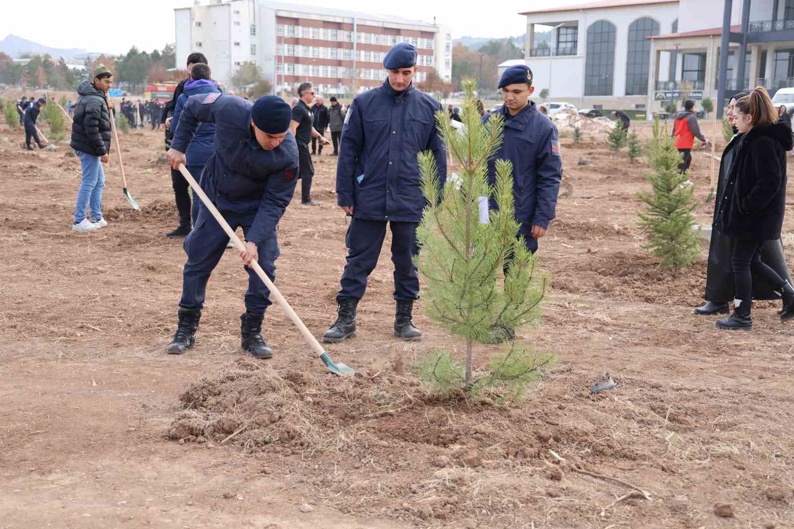 Sivas’ta Ormanlık Alanlar Genişliyor: 504 Bin Dekara Ulaştı
