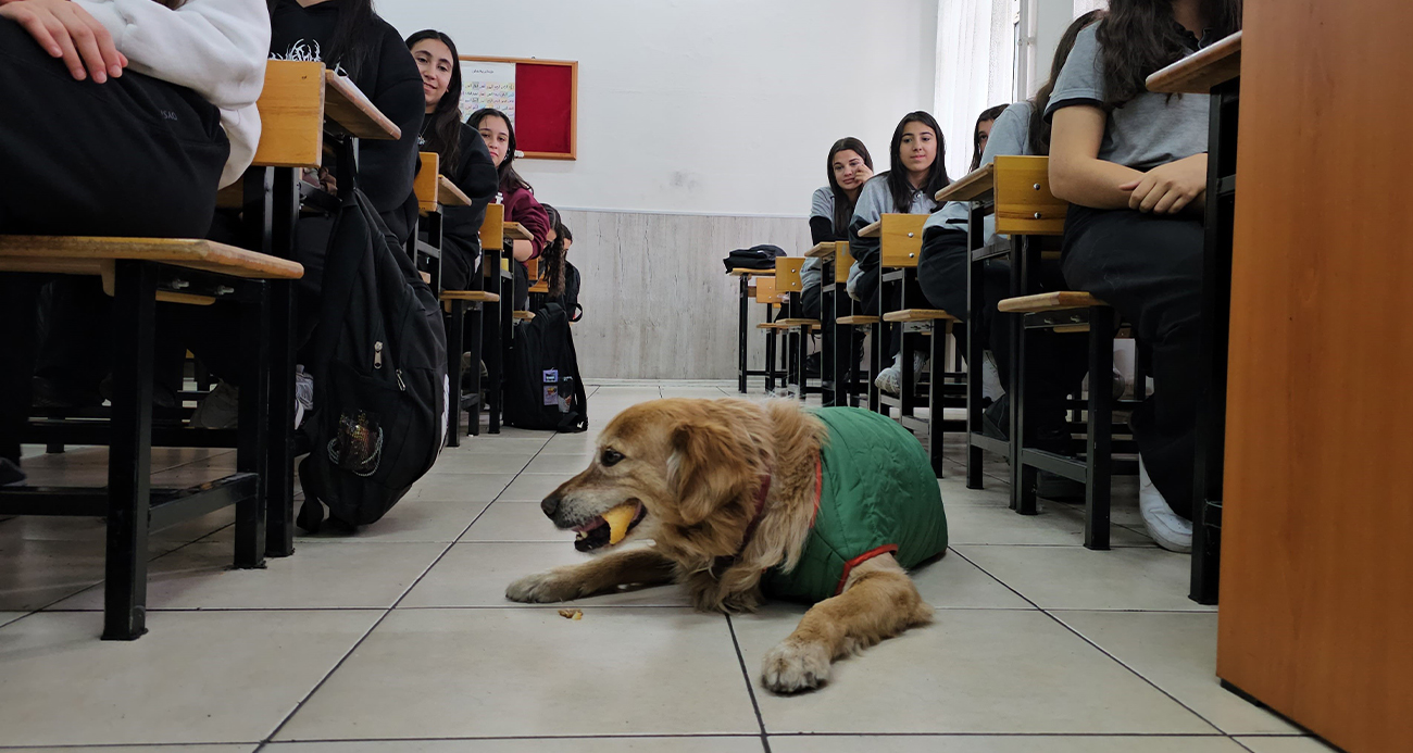 Kayseri’deki Bir Okulda Sokak Köpeği Fındık, Öğrencilerin Sevgilisi Oldu