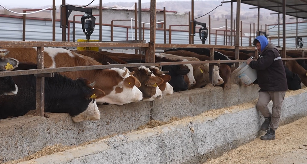 Kırıkkale’de Devlet Destekli Çiftlik Projesi Büyüyor