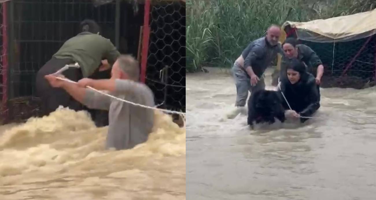 Manavgat’ta Sel Felaketinde Köpek Kurtarma Operasyonu