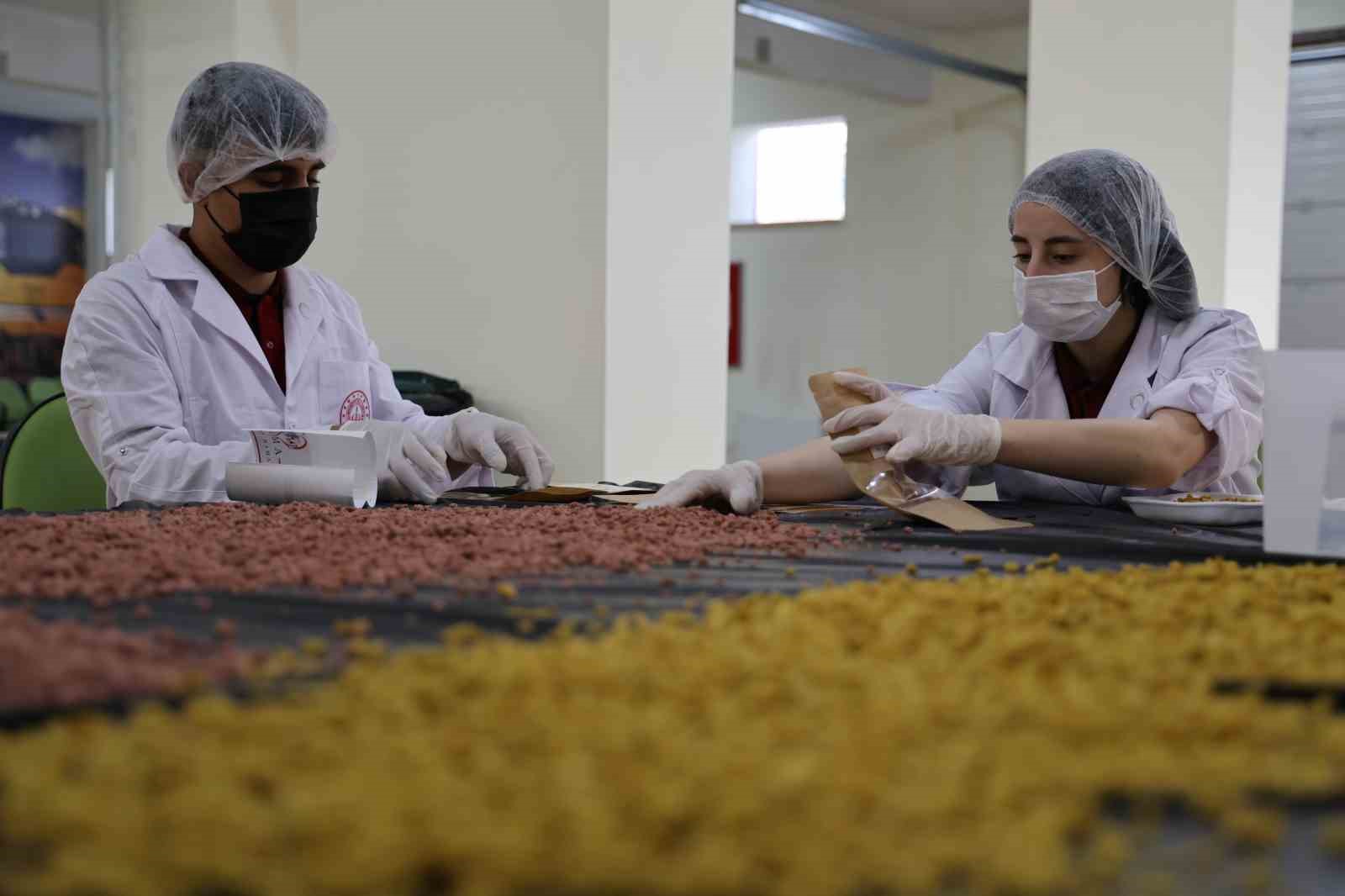 Sivas’ta Öğrenciler Kullanılmayan Gıdaları Mama Haline Getiriyor