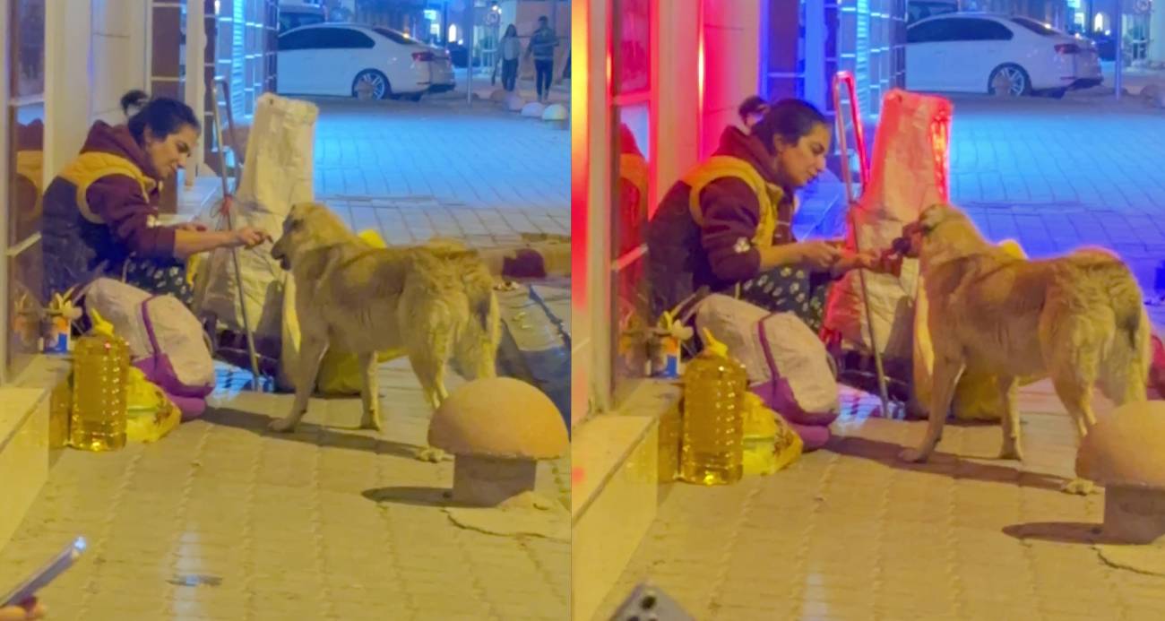 Hatay’da Bir Kadının Sokak Köpeğiyle Paylaştığı Yemek Gönülleri Fethetti