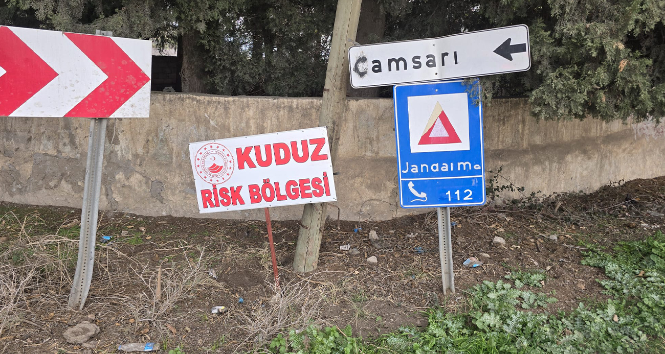 Hatay’da Kuduz Alarmı: Bir Mahalle Karantinaya Alındı
