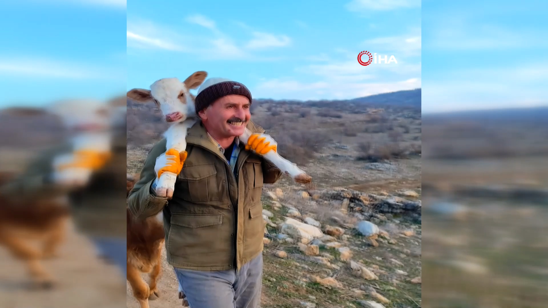 Silvan’da Özverili Çiftçiler, Dağda Doğan Buzağıyı Sırtlarında Taşıyarak Kurtardı