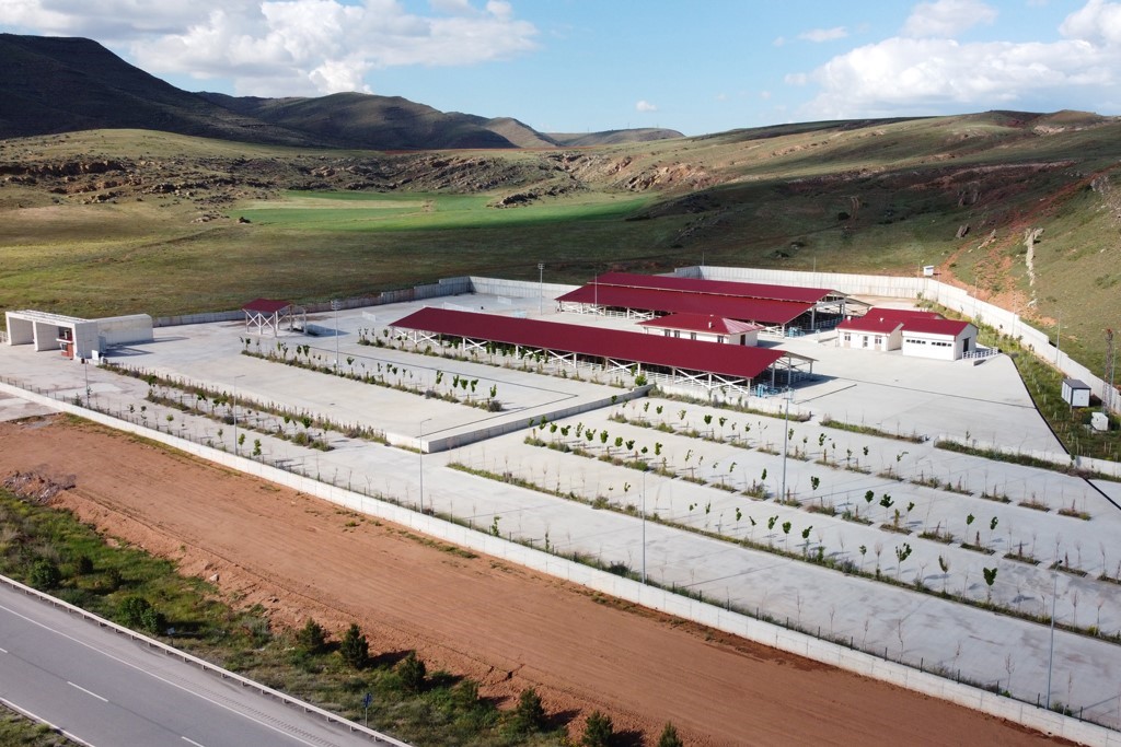 Sivas’ta Canlı Hayvan Pazarı’nın Köpek Barınağına Dönüştürülmesine Tepkiler Büyüyor