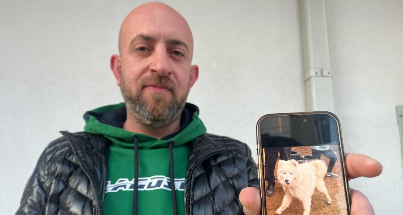 50 Bin TL Ödül Vaadi İle Kayıp Köpeğini Arayan Adamın Başına Gelenler