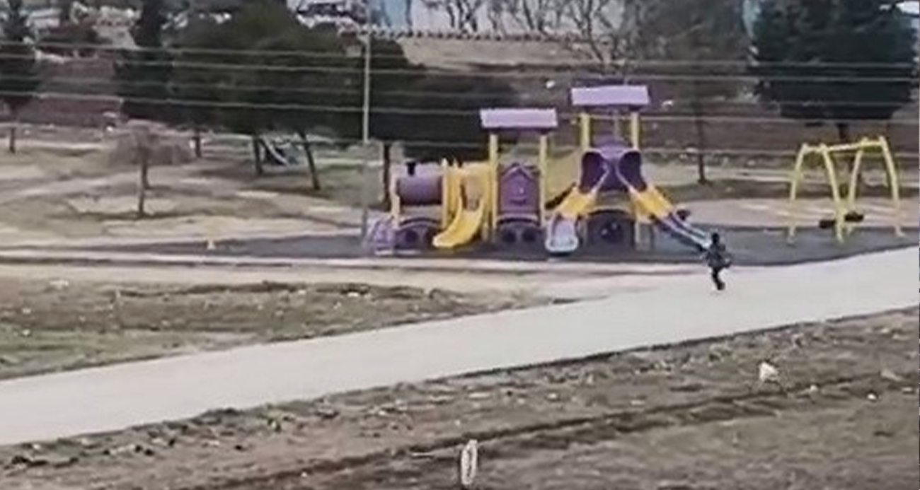 Adıyaman’da Sokak Köpeklerinin Çocuğa Saldırı Anı Kamerada