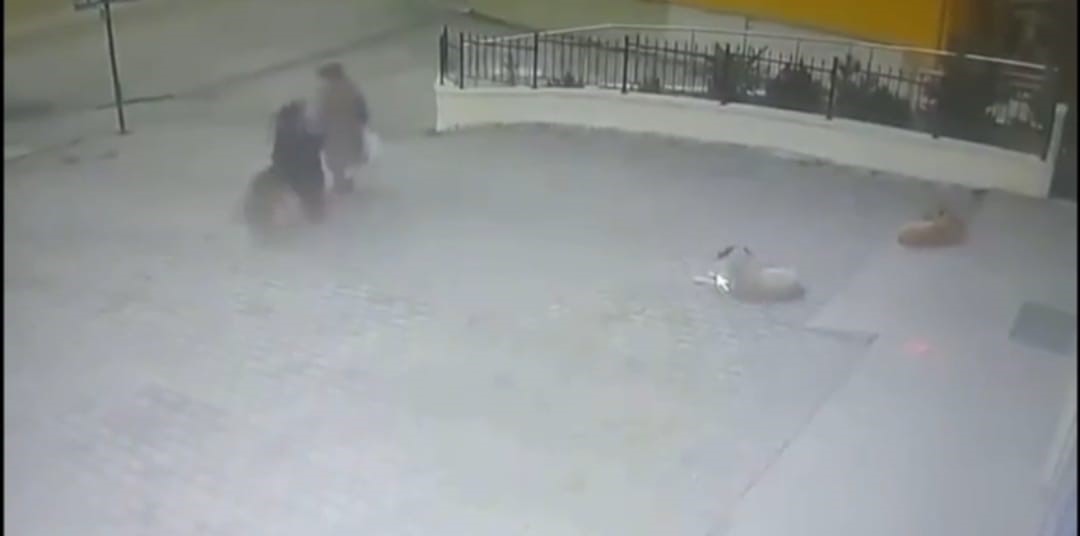 Ankara’da Yaşlı Kadına Köpek Saldırısı Güvenlik Kamerasında