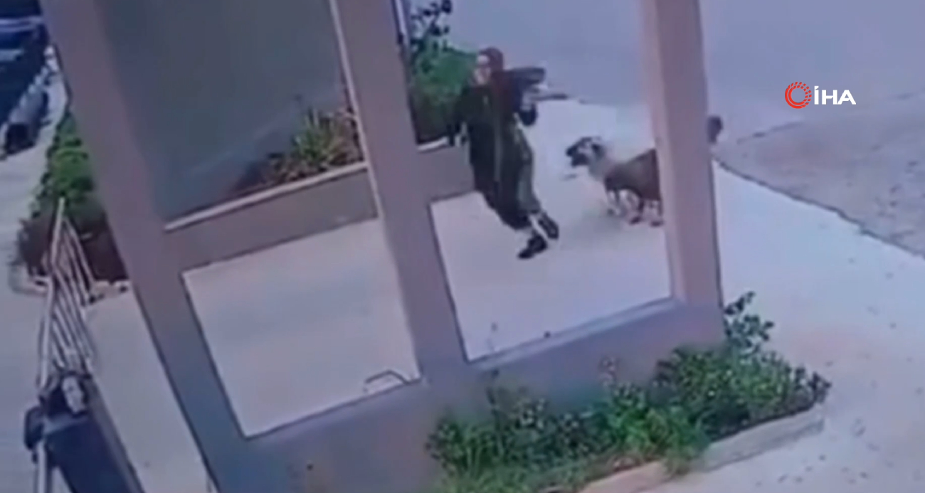 Mersin’de Sokak Köpeklerinin Saldırısı Güvenlik Kamerasında