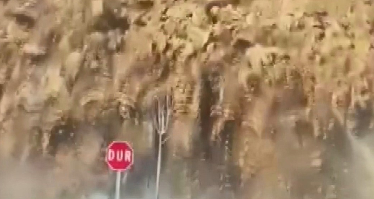 Ordu’da Heyelan Yolu Kapattı