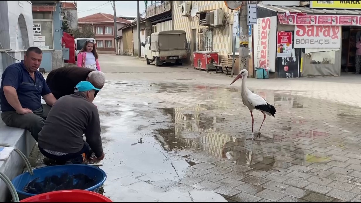 Yaren Leylekten İlham Alan Bilal, Köyün Sevgilisi Oldu
