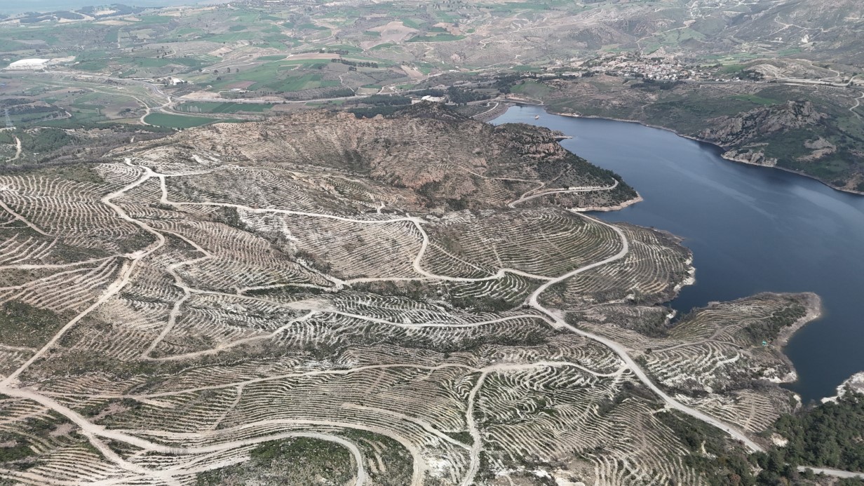 Çanakkale Ormanları Yeniden Yeşillendiriliyor: Yangına Dirençli Fidanlarla Ağaçlandırma