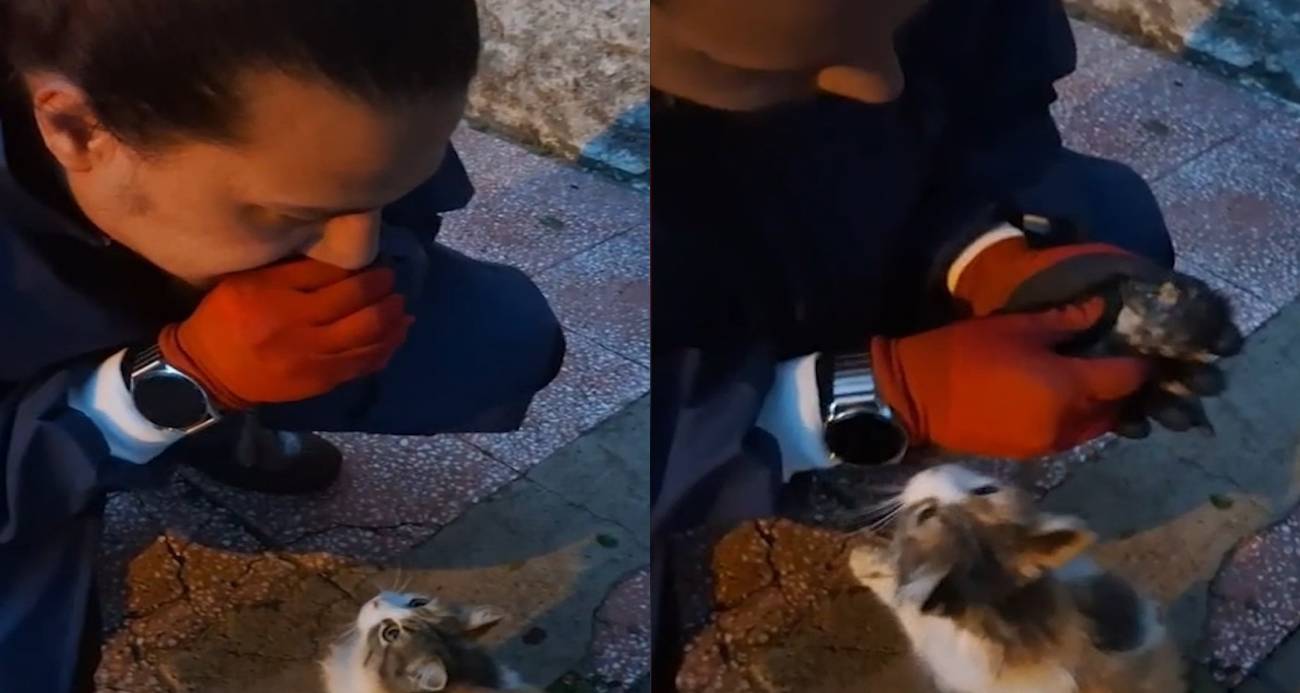 İtfaiye Ekiplerinin Yavru Kedi İçin Kurtarma Çabası Yürekleri Isıttı