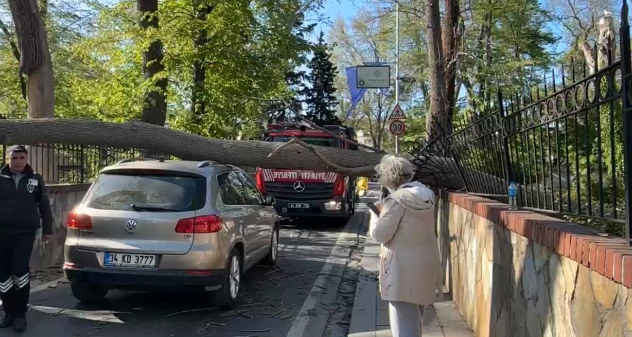 Sarıyer’de Rüzgarın Gücüne Dayanamayan Ağaç Otomobilin Üzerine Düştü