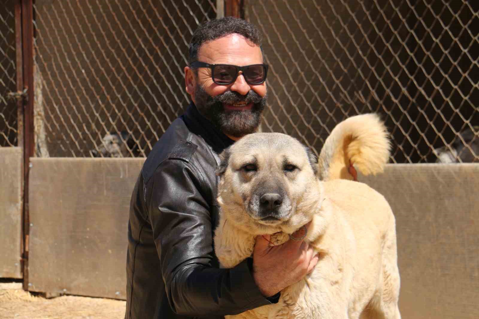 Sivas’ta Ani Hava Değişimleri Kangal Köpeklerini Etkiliyor