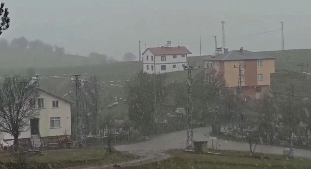 Sivas’ta Bahar Ayında Kar Yağışı Şaşkınlığı