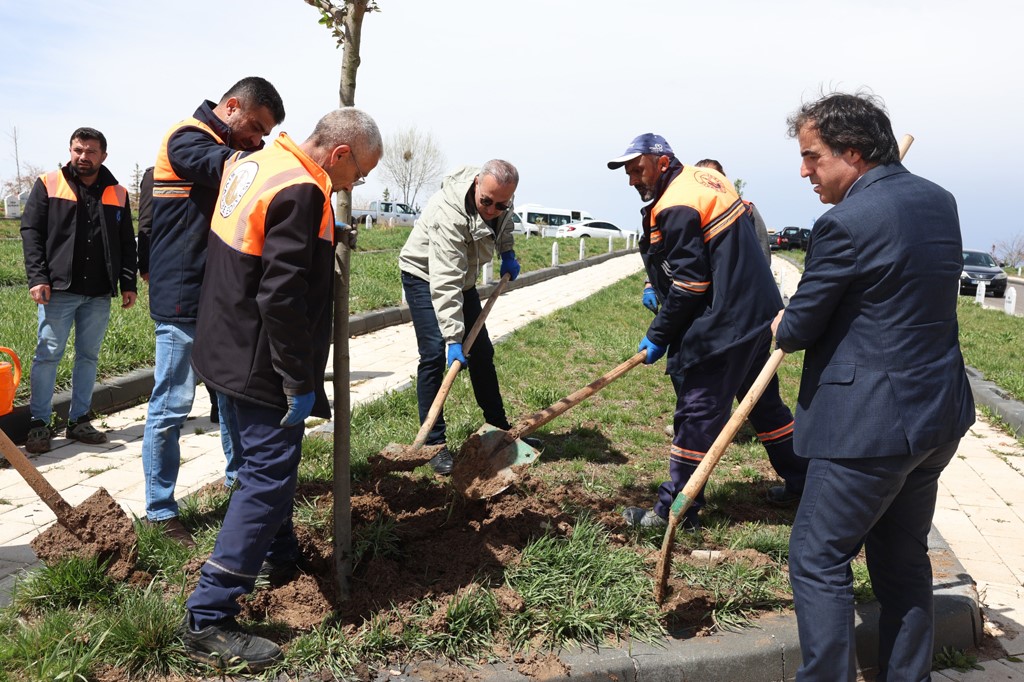 Sivas’ta Bebek Mezarlarına Anlamlı Düzenleme: Kalpli Taşlar ve Gül Dikimi