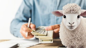 2025 Kurban Bayramı Emekli İkramiyesi ve Memur Maaşları Ne Zaman Yatacak? İşte Detaylar