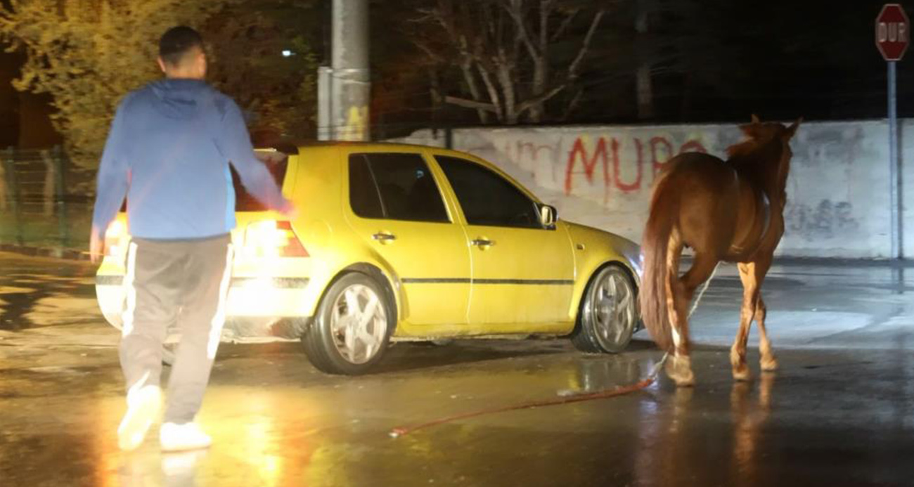 Aksaray’da Gece Yarısı Başıboş At Vatandaşları Harekete Geçirdi