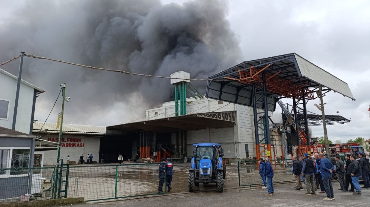 Sakarya Karasu’da Fındık Fabrikasında Büyük Yangın
