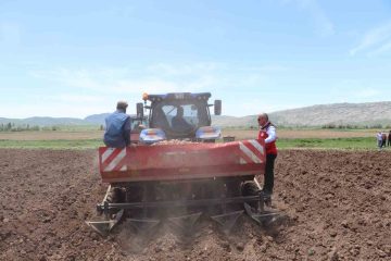 Sivas’ta Tohumluk Patates Ekimi Yeni Sezona Merhaba Dedi