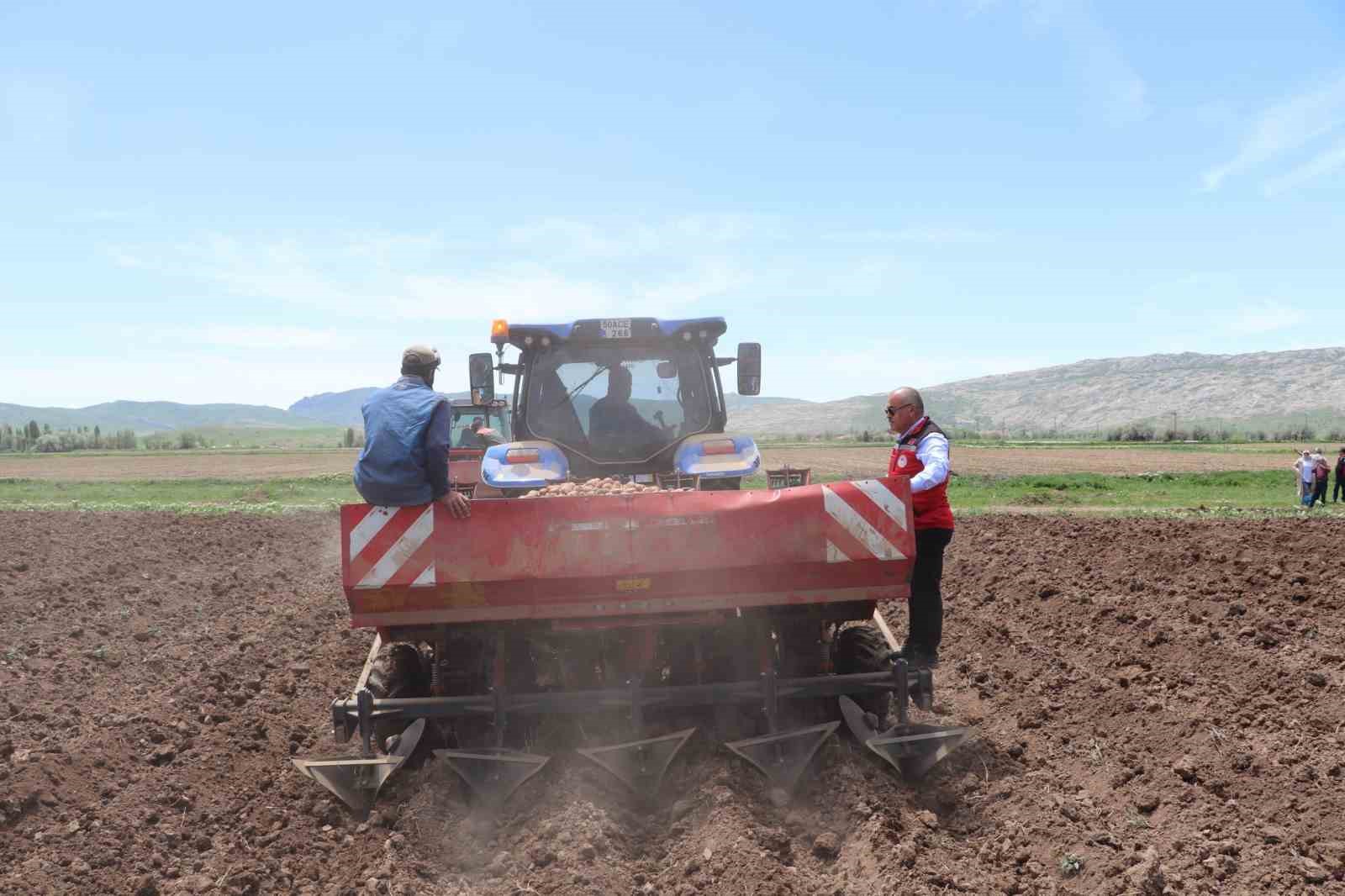 Sivas’ta Tohumluk Patates Ekimi Yeni Sezona Merhaba Dedi