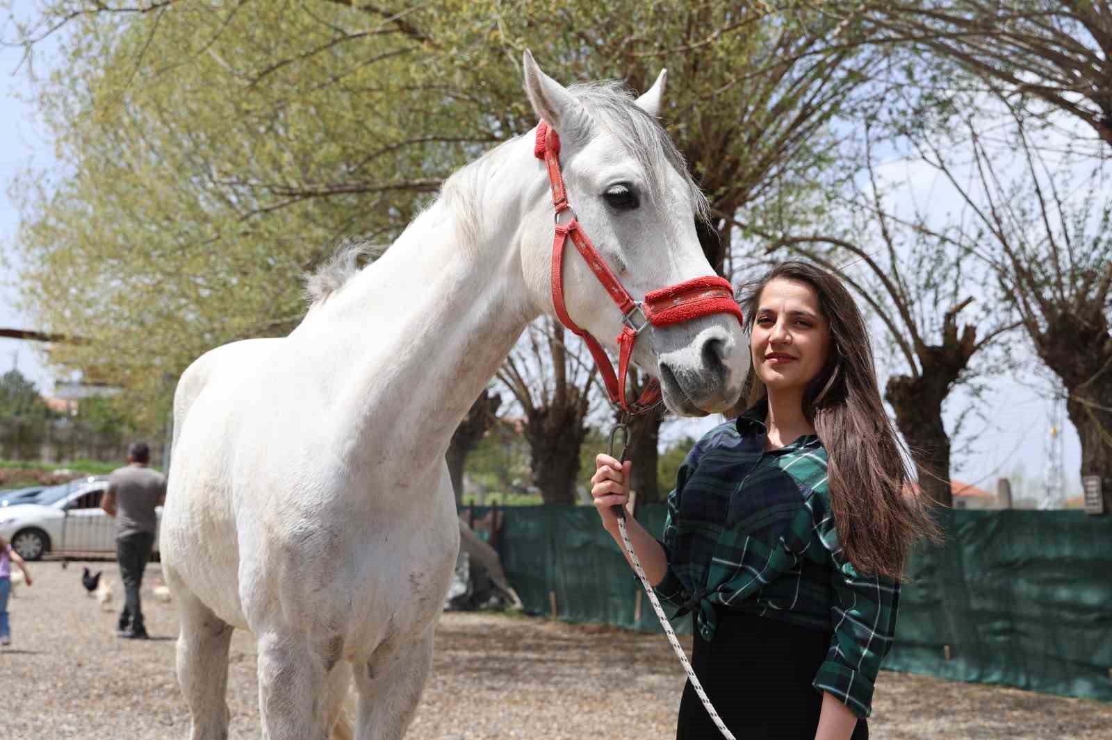 Tarihi Dizilerin Etkisiyle Sivas’ta Kadınlar Biniciliğe Yöneliyor