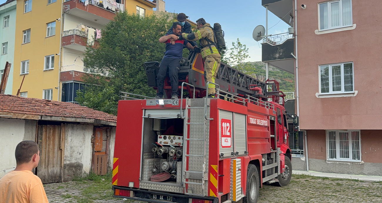 Tokat’ta Fare Kovma Çabası Hastane Yolunda Sonuçlandı