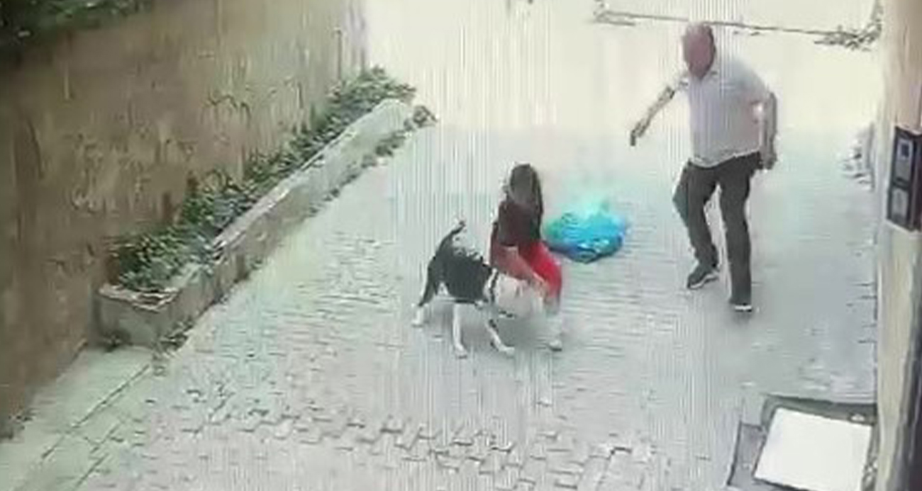 Ataşehir’de Pitbull Terörü: Küçük Çocuğa Saldırı Anı Kamerada