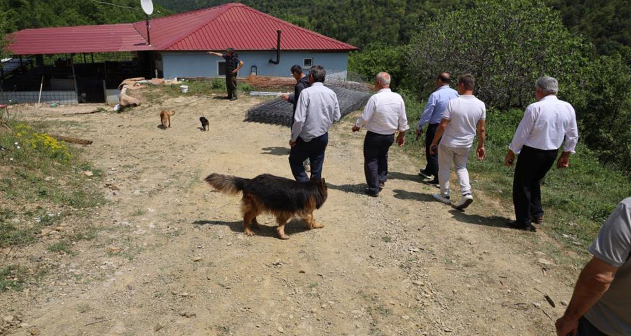 Bafra’da Çulhakoca Mahallesi’nde Tepki Çeken İzinsiz Köpek Barınağı Kapatıldı