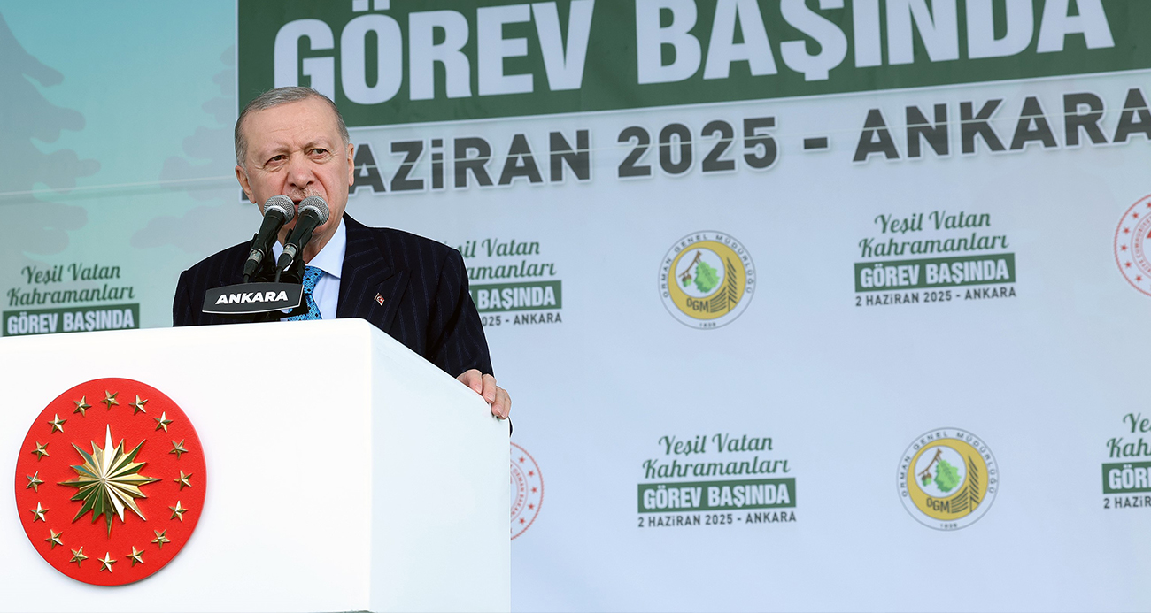 Cumhurbaşkanı Erdoğan, Orman Yangınlarıyla Mücadelede Türkiye’nin İlerlemesini Vurguladı