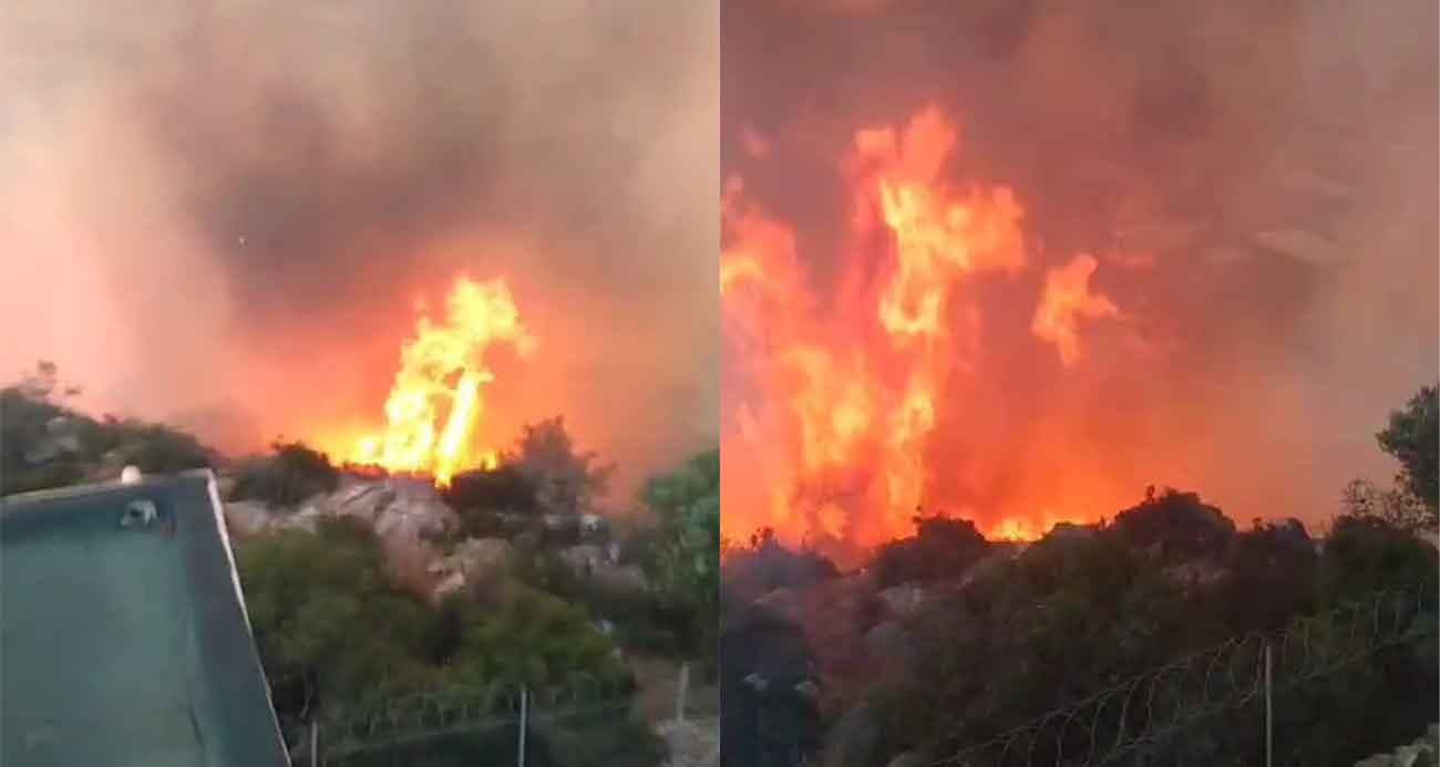 Gazipaşa’da Orman Yangınında Gözetleme Kulesi Personelinin Mücadelesi