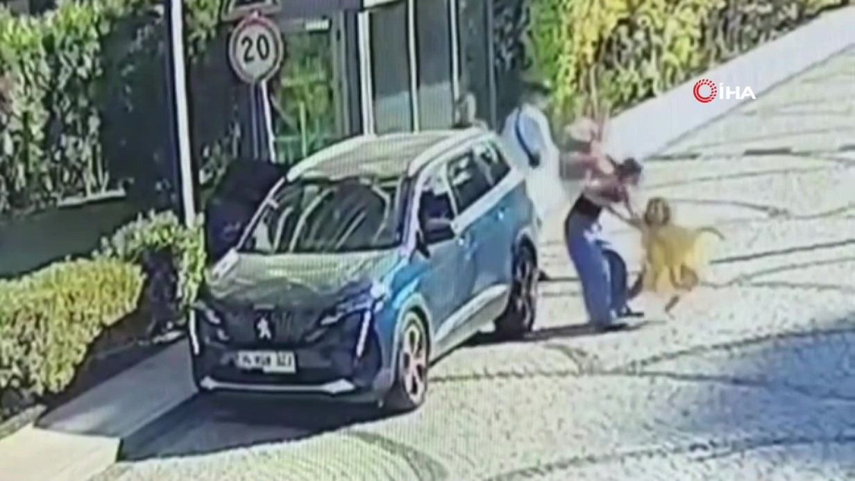 İstanbul Sarıyer’de Küçük Çocuğun Zorla Araca Bindirilme Anı