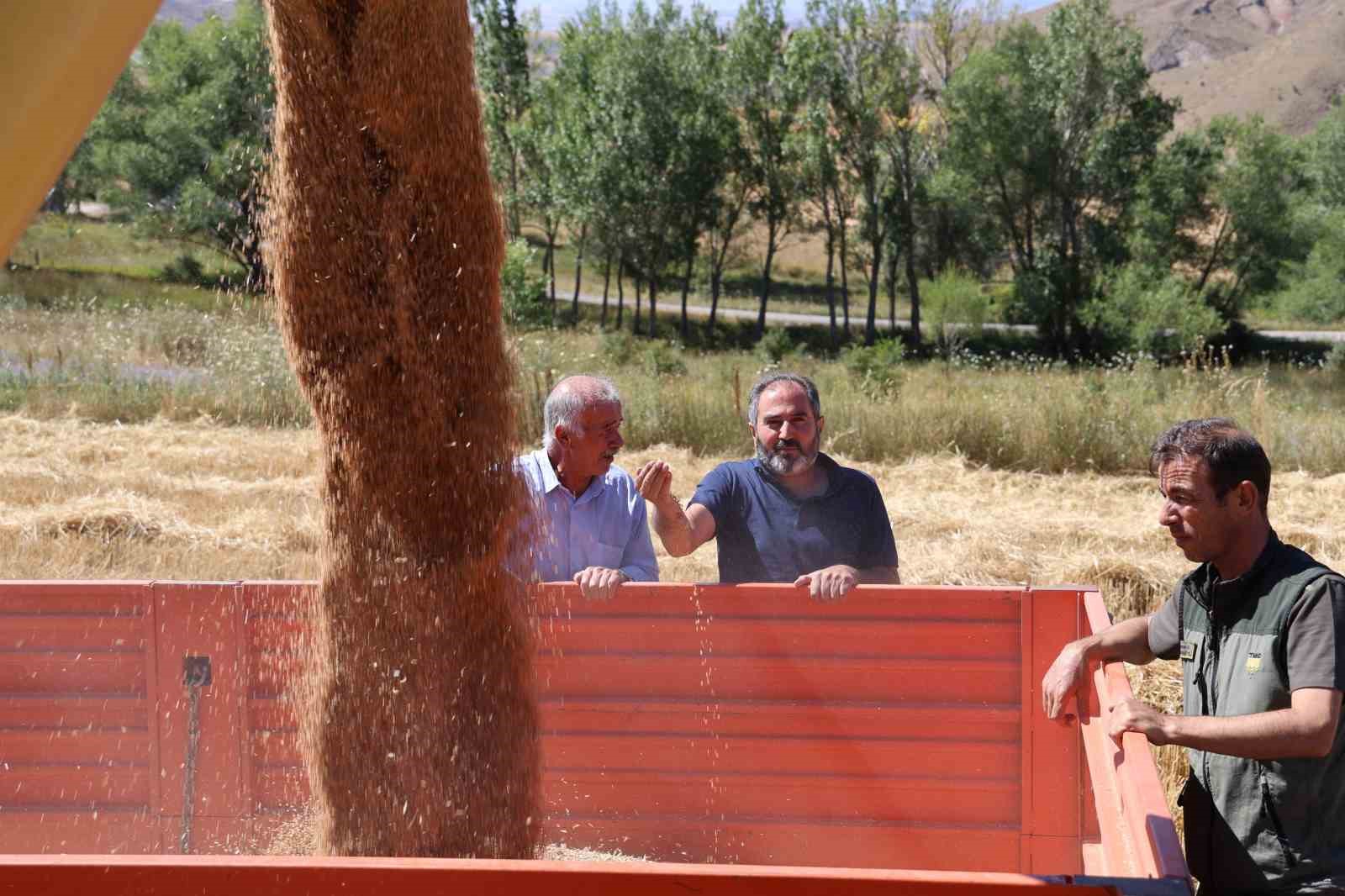 Sivas’ta Çiftçiler Yeni Hububat Fiyatlarından Memnun