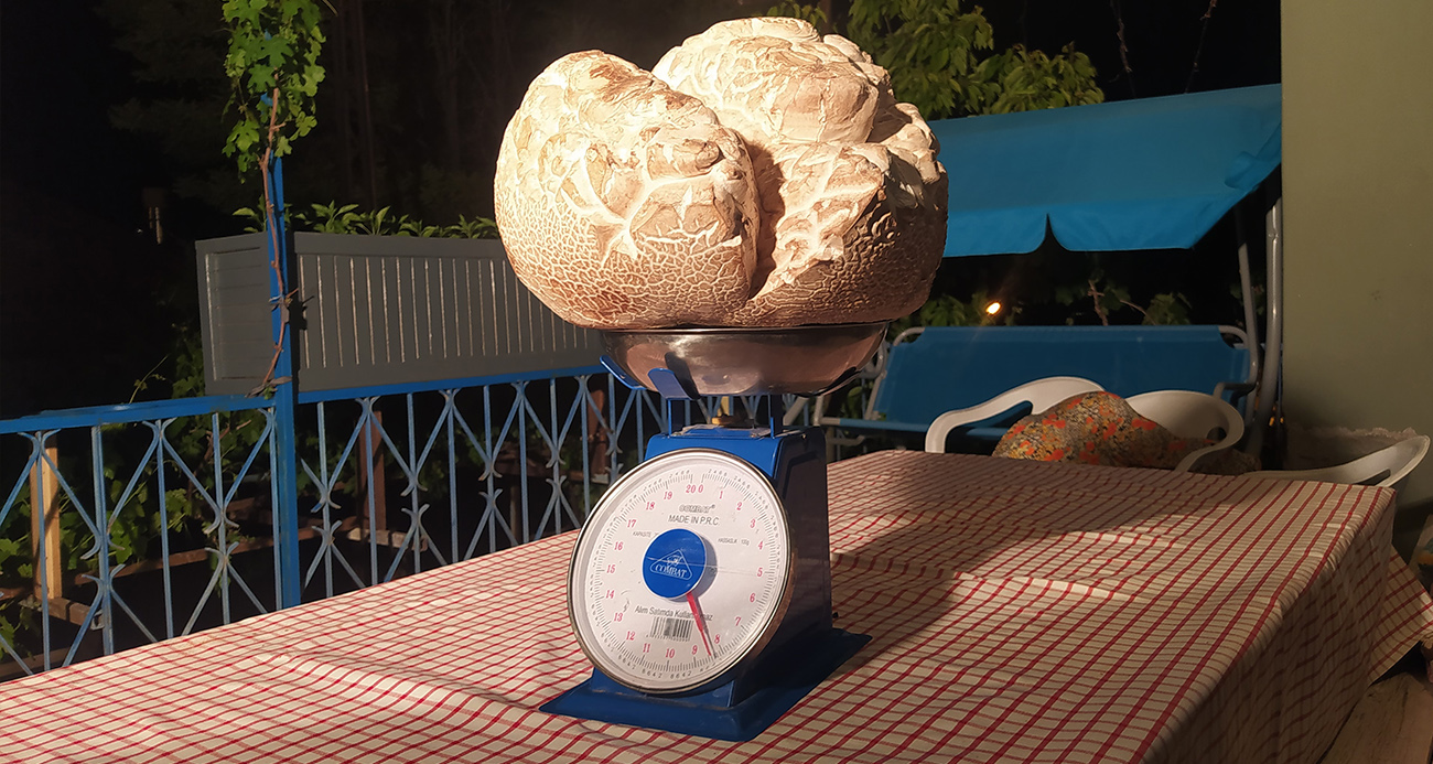 Sivas’ta Göz Kamaştıran Buluş: 8 Kg’lık Dev Mantar!