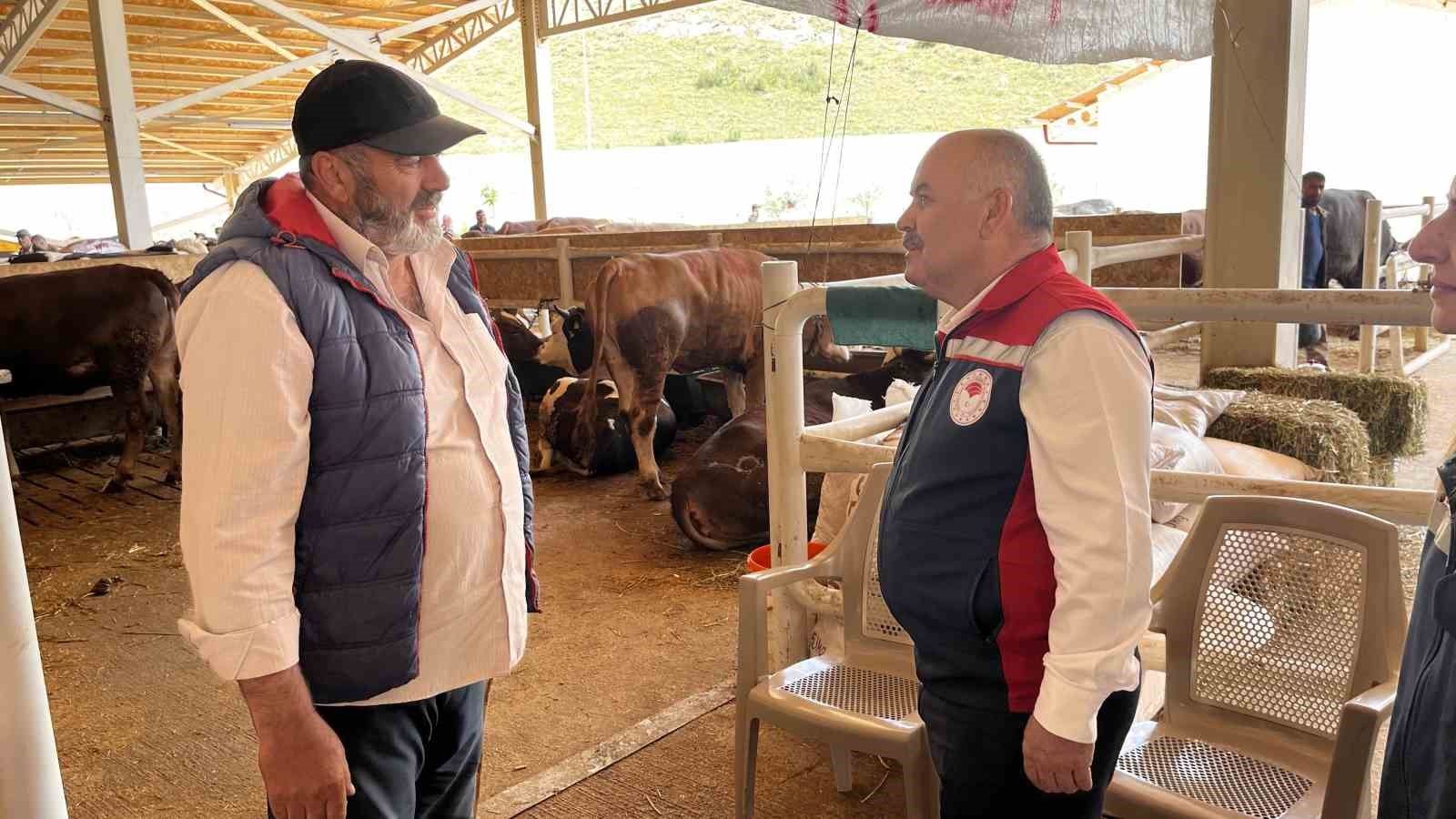 Sivas’ta Kurban Bayramı Öncesi Sağlıklı Kurban Kontrolleri Arttı