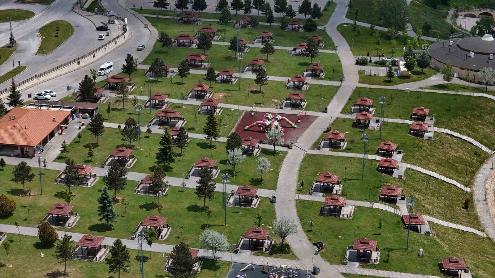 Sivas’taki Mesire Alanları Kene Tehlikesiyle Karşı Karşıya