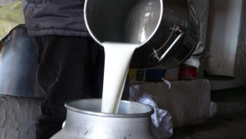 1 litre çiğ süt kaç TL oldu? Ulusal Süt Konseyi 2025 zamlı fiyatı açıkladı