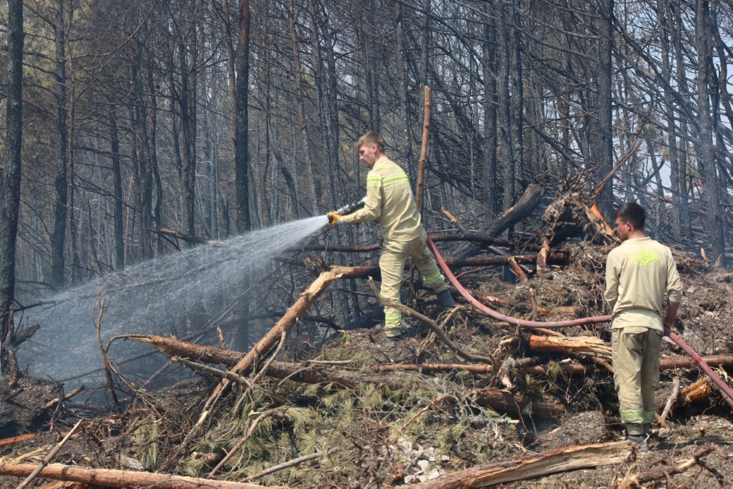 Karabük’te Devam Eden Orman Yangınında Mücadele Altıncı Gününde
