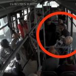 blank