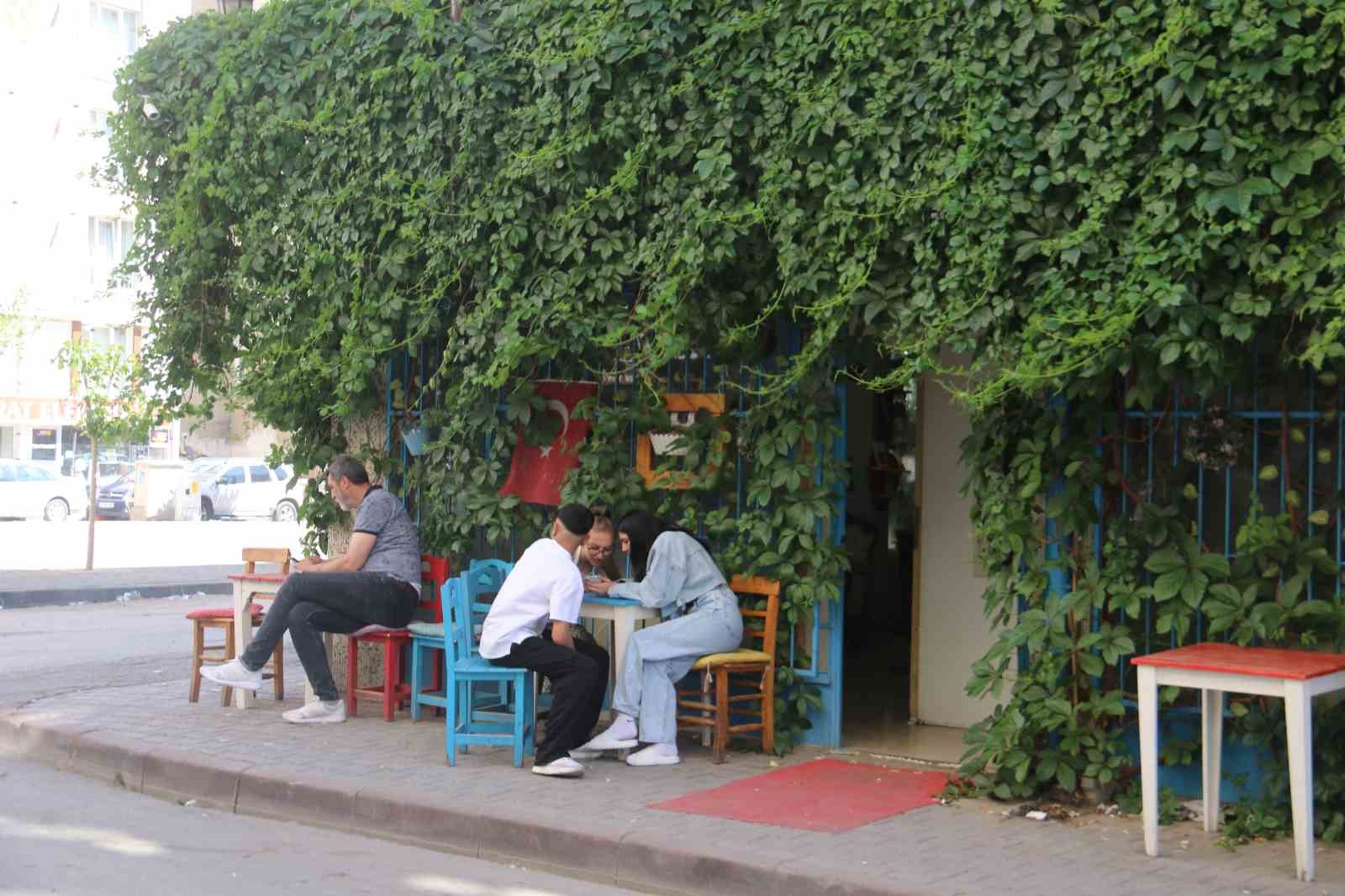 Sivas’ın Gizli Cenneti: Sarmaşıklarla Bezeli Kafe