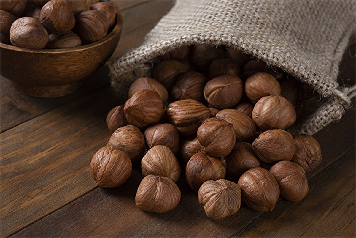 2025 Fındık fiyatları açıklandı mı, TMO kaç TL verecek? Giresun ve levant kalite için beklenti ne yönde?