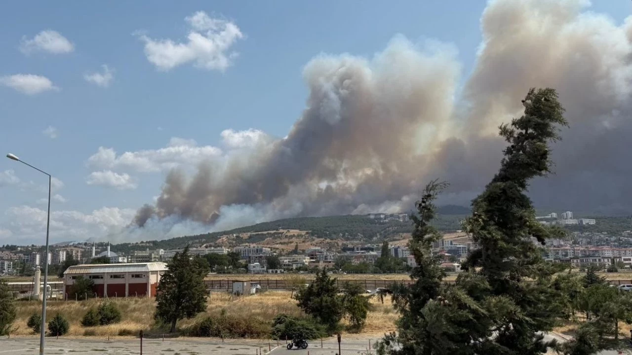 Çanakkale’de orman yangını paniği! Üniversite kampüsü boşaltılıyor mu?