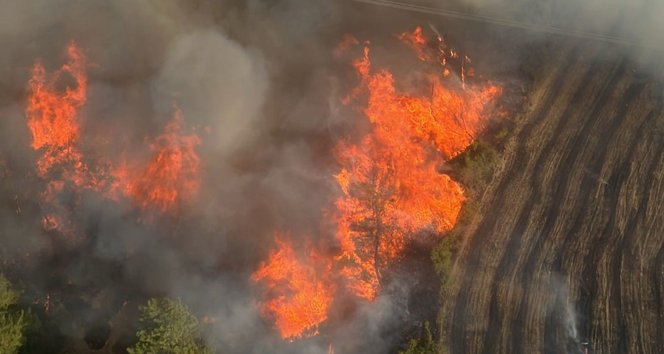 Adana İmamoğlu’nda Korkutan Orman Yangını