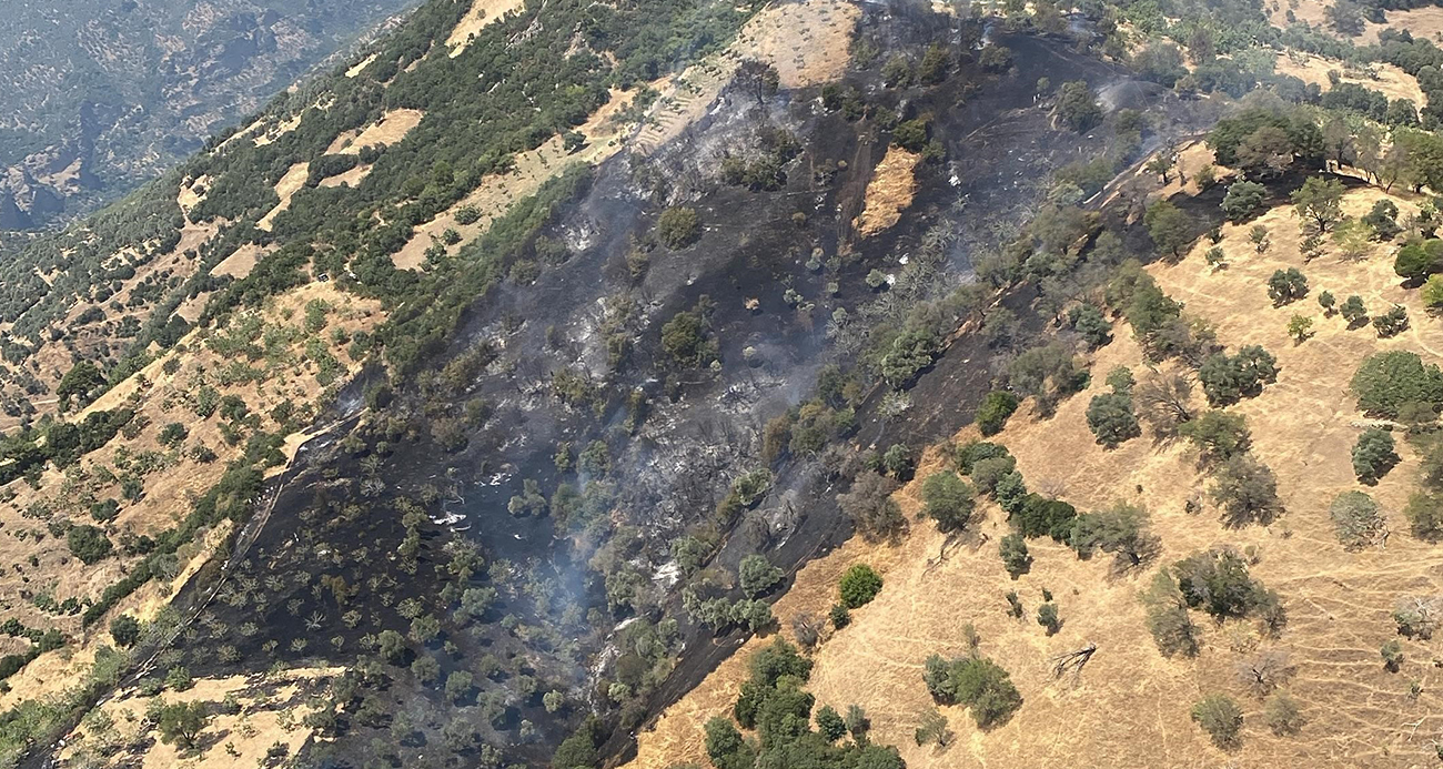 Aile İçi Anlaşmazlık Yüzünden 3 Hektarlık Alan Kül Oldu