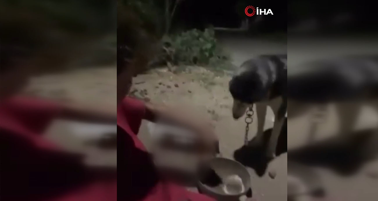 Ankara Polatlı’da Bir Köpeğe Zorla Alkol İçirilmesi Olayı